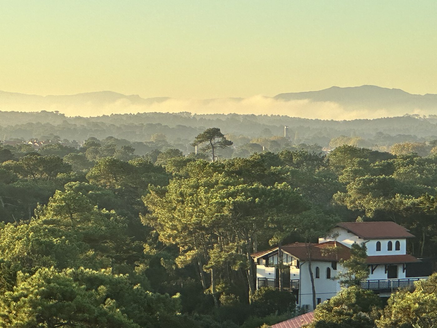 Vue sur la forêt de pins d'Hossegor et les Pyrénées au coucher du soleil