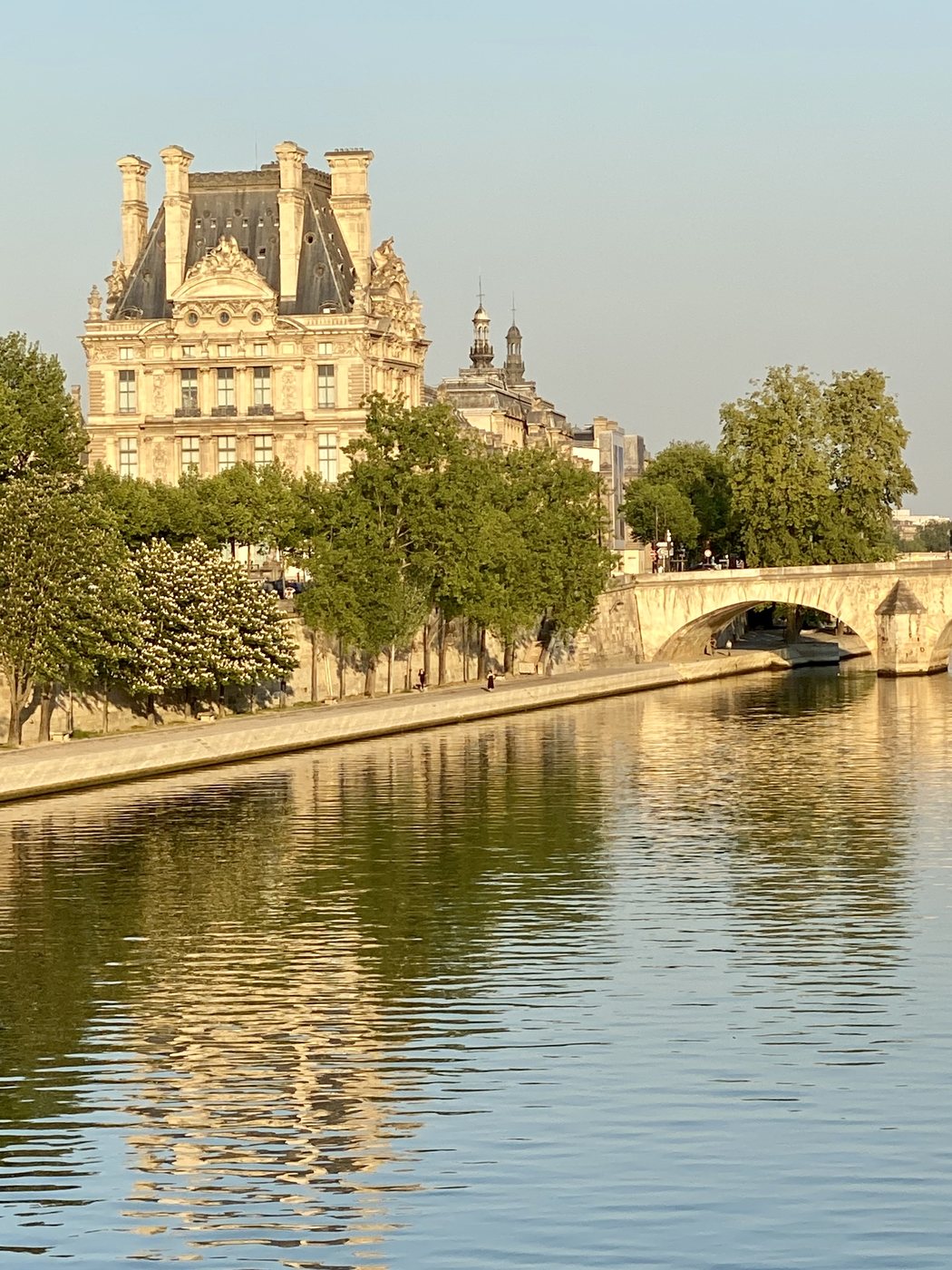 The Île de la Cité and its bridges on the Seine in Paris