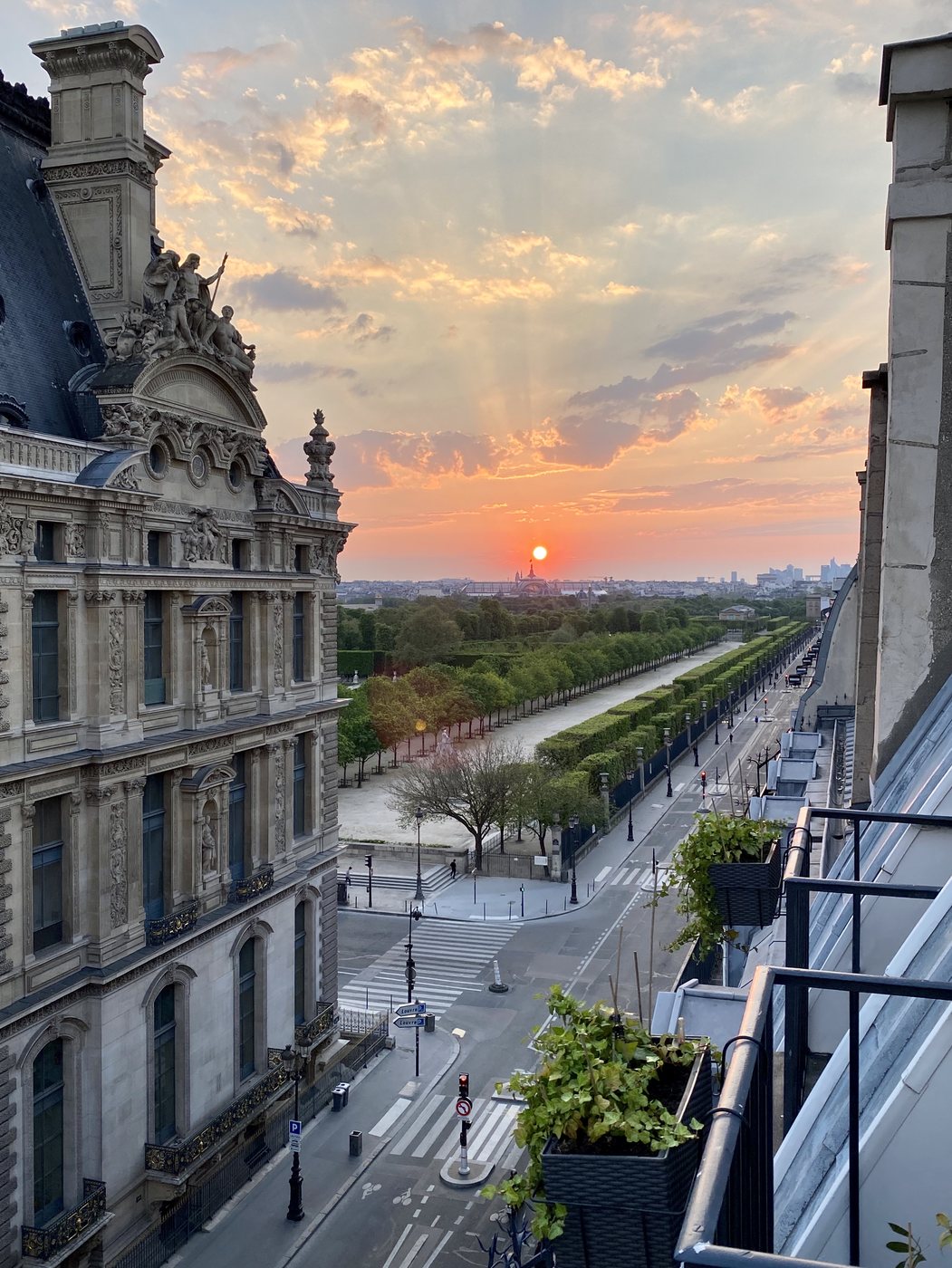 Vue plongeante sur le jardin des Tuileries depuis l'appartement à Paris
