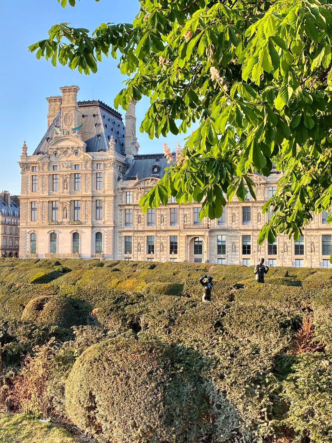 Le pavillon de Flore du Louvre vu depuis les jardins du Carrousel au printemps